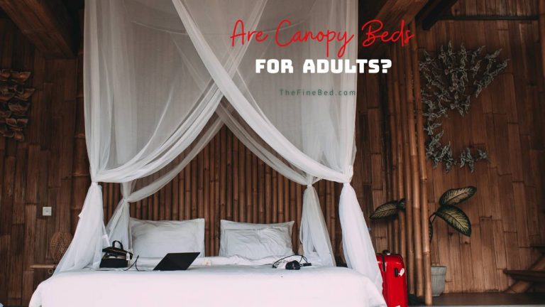 Are Canopy Beds For Adults? 6 Secrets About Canopy Bed